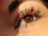 BOB Wide angle Curling Long Lash Mascaras Instant Volume No Clumps|Bachat.pk